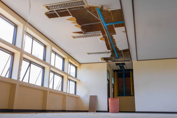 Best Basement water damage restoration  in Elma Center, NY
