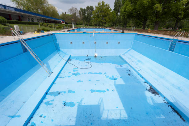 Best Water damage restoration near me  in Elma Center, NY