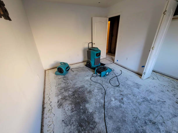 Best 24-hour water damage restoration  in Elma Center, NY