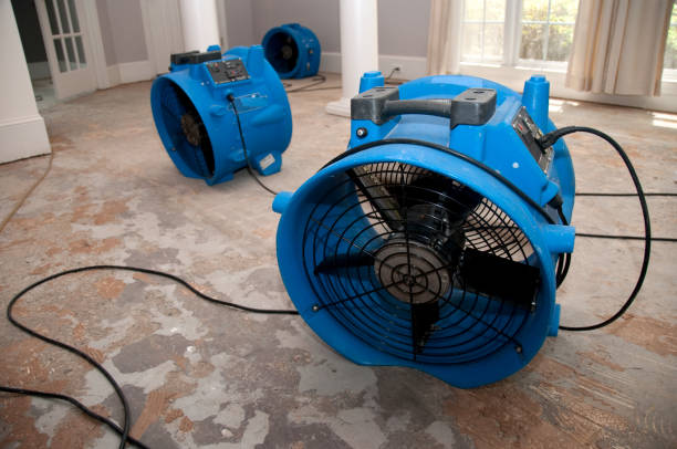 Best Local water damage restoration  in Elma Center, NY