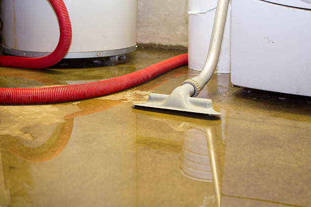 Best Flood restoration services  in Elma Center, NY