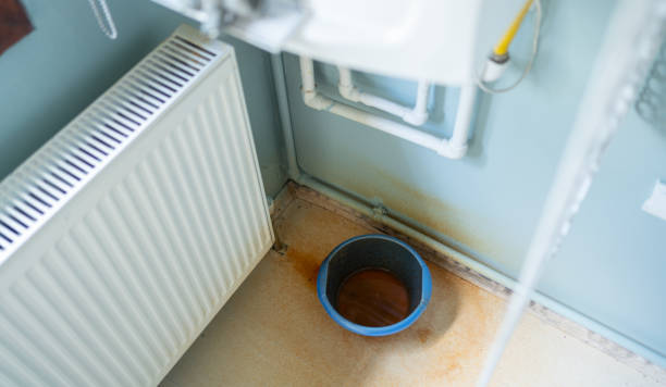 Best Flood damage cleanup  in Elma Center, NY