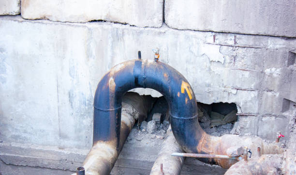 Best Water damage cleanup near me  in Elma Center, NY